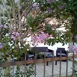 The Judas Trees