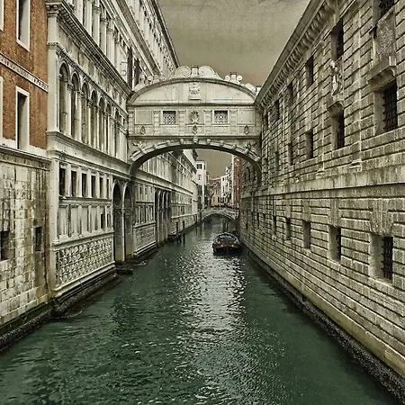 The Judas Trees * Mestre