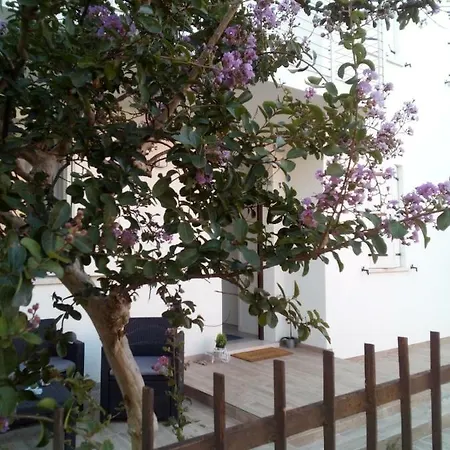 Vakantiehuis The Judas Trees