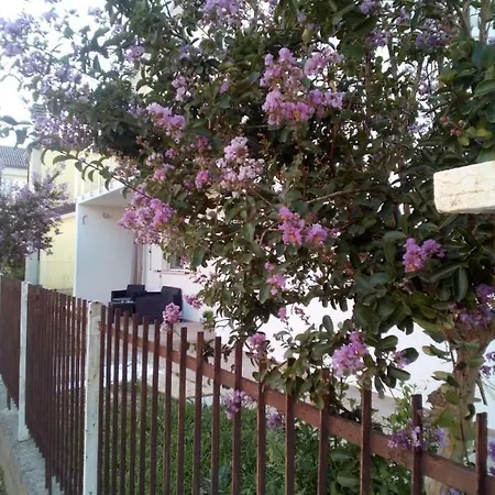 The Judas Trees Ferienhaus *