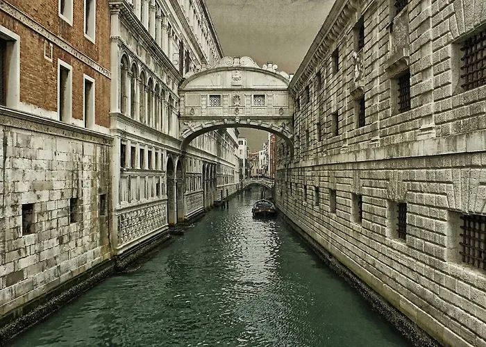 The Judas Trees * 梅斯特雷