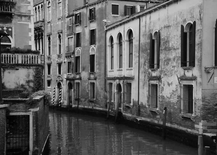 The Judas Trees 度假居