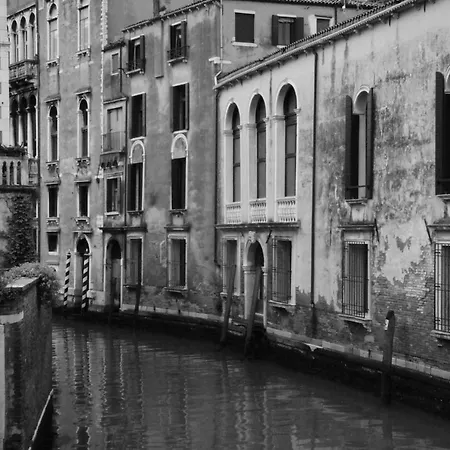 The Judas Trees بيت للعطل