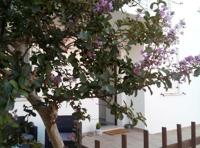 Сasa de vacaciones The Judas Trees